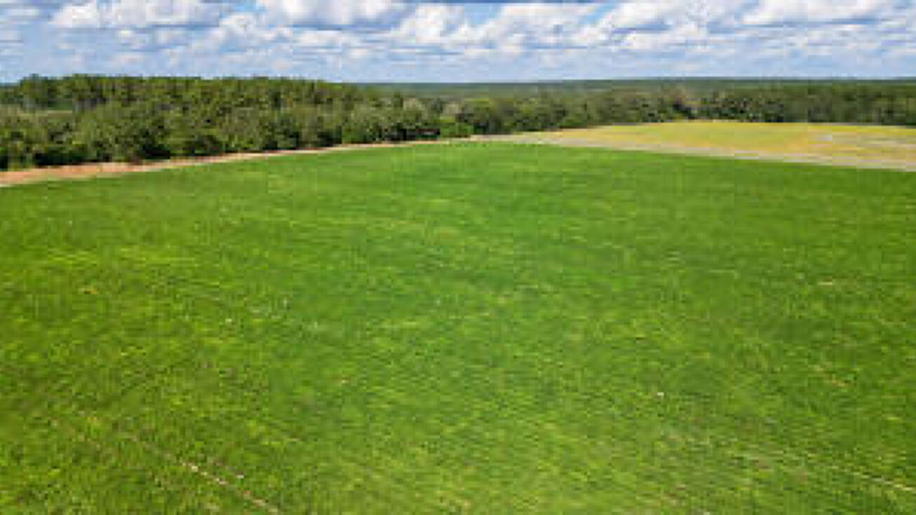 000 Waterwheel Road, Salley, SC 29137