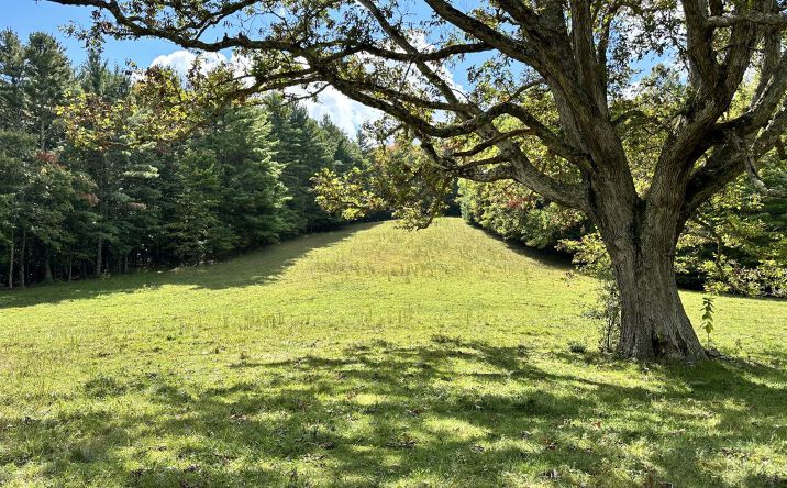 Pictures of Land property located at Kates Mountain Rd, Caldwell, WV 24941 for sales - image #1
