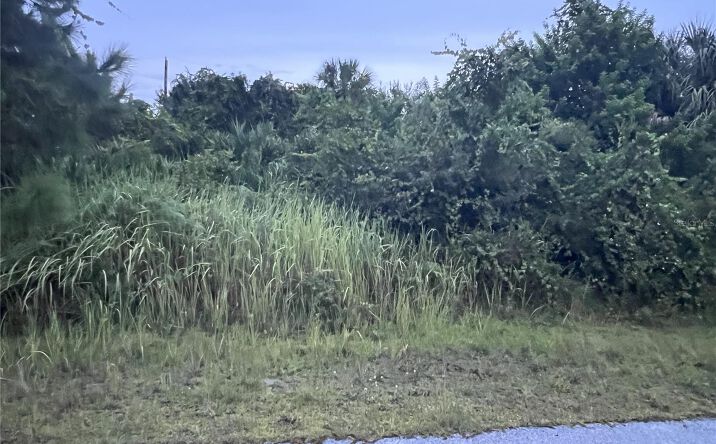 Pictures of Land property located at 1159 Waterford Street Se, Palm Bay, FL 32909 for sales - image #1