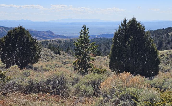 Pictures of Land property located at s circle drive casper mountain, Casper, WY 82604 for sales - image #1