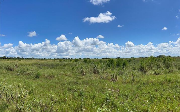 Pictures of Land property located at 00 Davila Road, Edinburg, TX 78542 for sales - image #1
