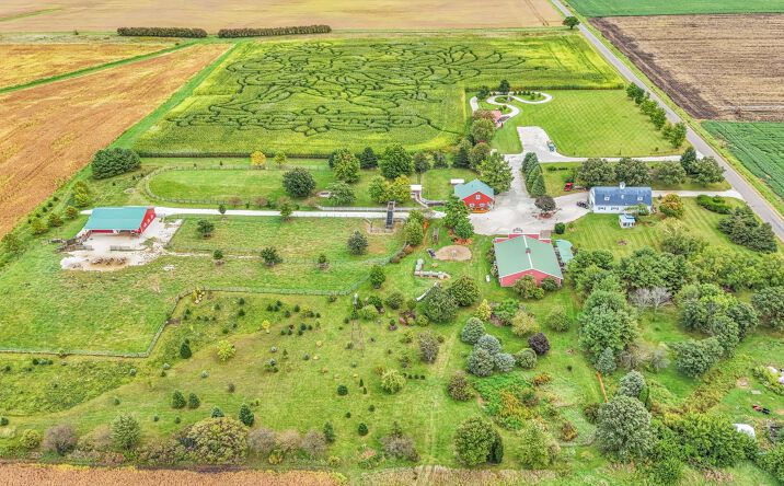 Pictures of Business for Sale, Mixed Use, Retail property located at 1356 County Rd 2900 N, Rantoul, IL 61866 for sales - image #1
