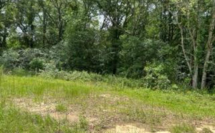 Pictures of Land property located at Lot 35 Veteran's Parkway, Moultrie, GA 31788 for sales - image #1