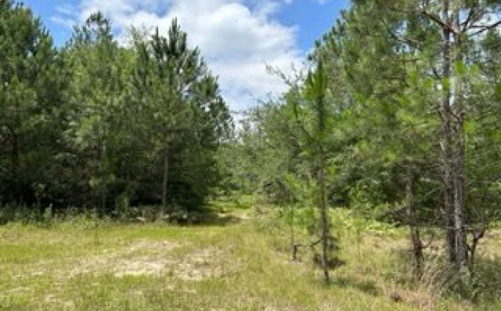 Pictures of Land property located at Lot 36 Veteran's Parkway, Moultrie, GA 31788 for sales - image #1