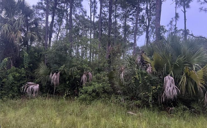 Pictures of Land property located at 3267 Westover Avenue Se, Palm Bay, FL 32909 for sales - image #1