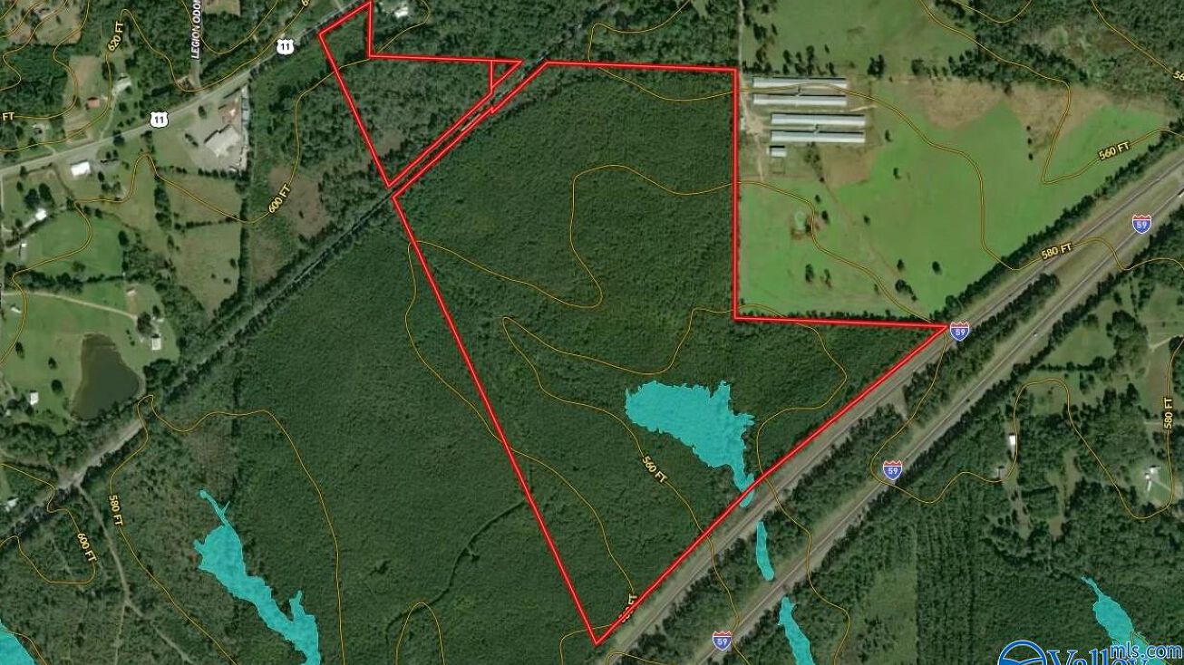 130 Acres Highway 11, Steele, AL 35987 | Crexi.com