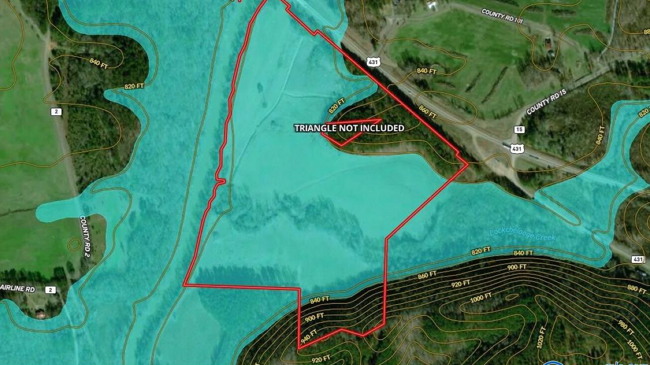 72 Acres Highway 431, Heflin, AL 36264