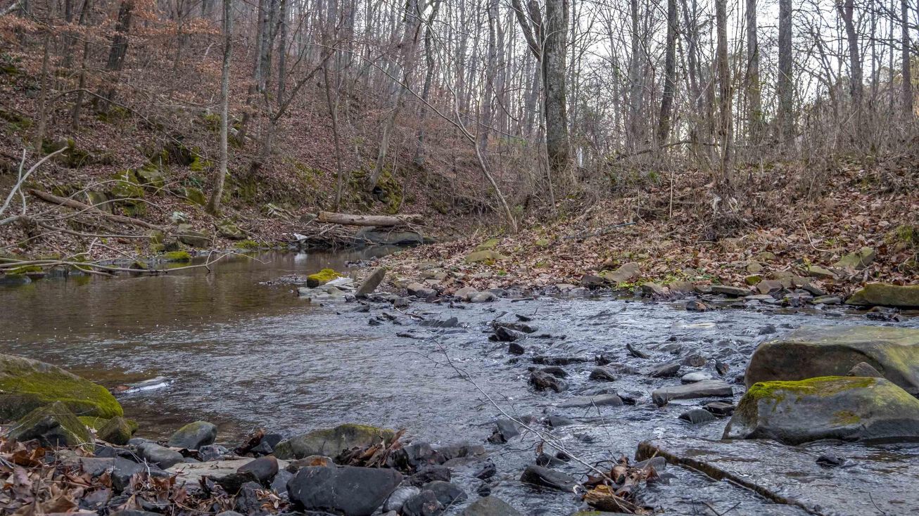 129 Acres Alabama Highway 68, Collinsville, AL 35961