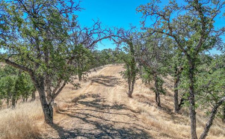 Pictures of Land property located at 0 Wood Duck Pass Road, Red Bluff, CA 96080 for sales - image #1