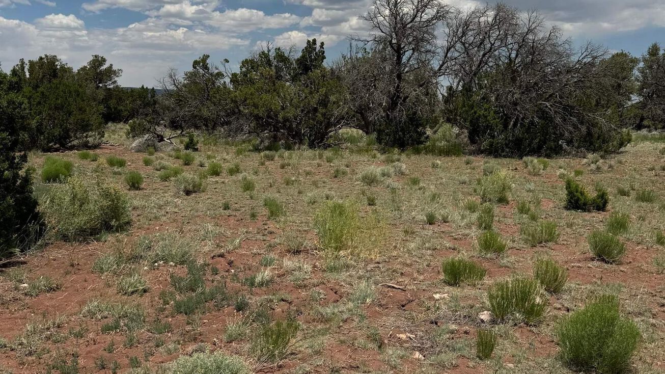 Lot 46 Seewald Estates, Thoreau, NM 87323