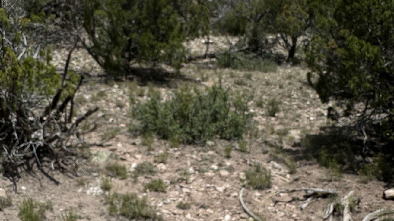 Lot 23 Seewald Estates, Thoreau, NM 87323