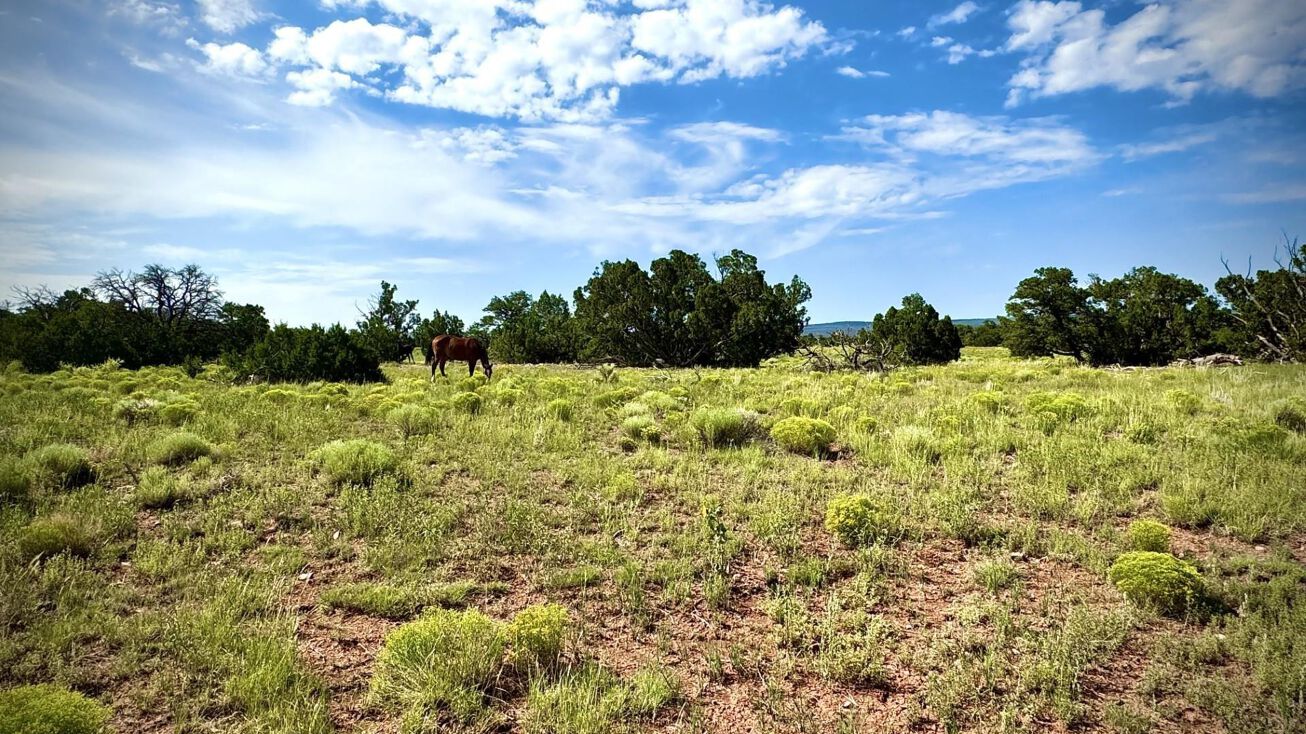 Lot 1 Seewald Estates, Thoreau, NM 87323