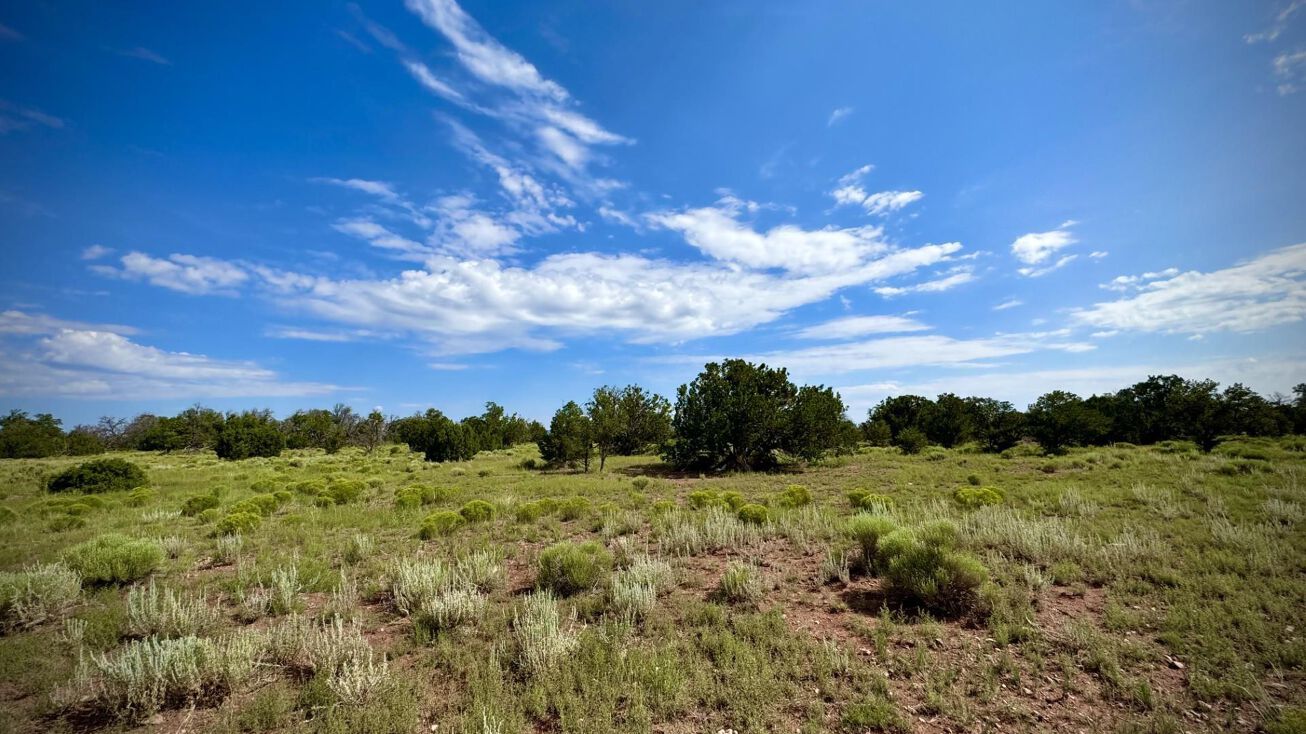 Lot 2 Seewald Estates, Thoreau, NM 87005