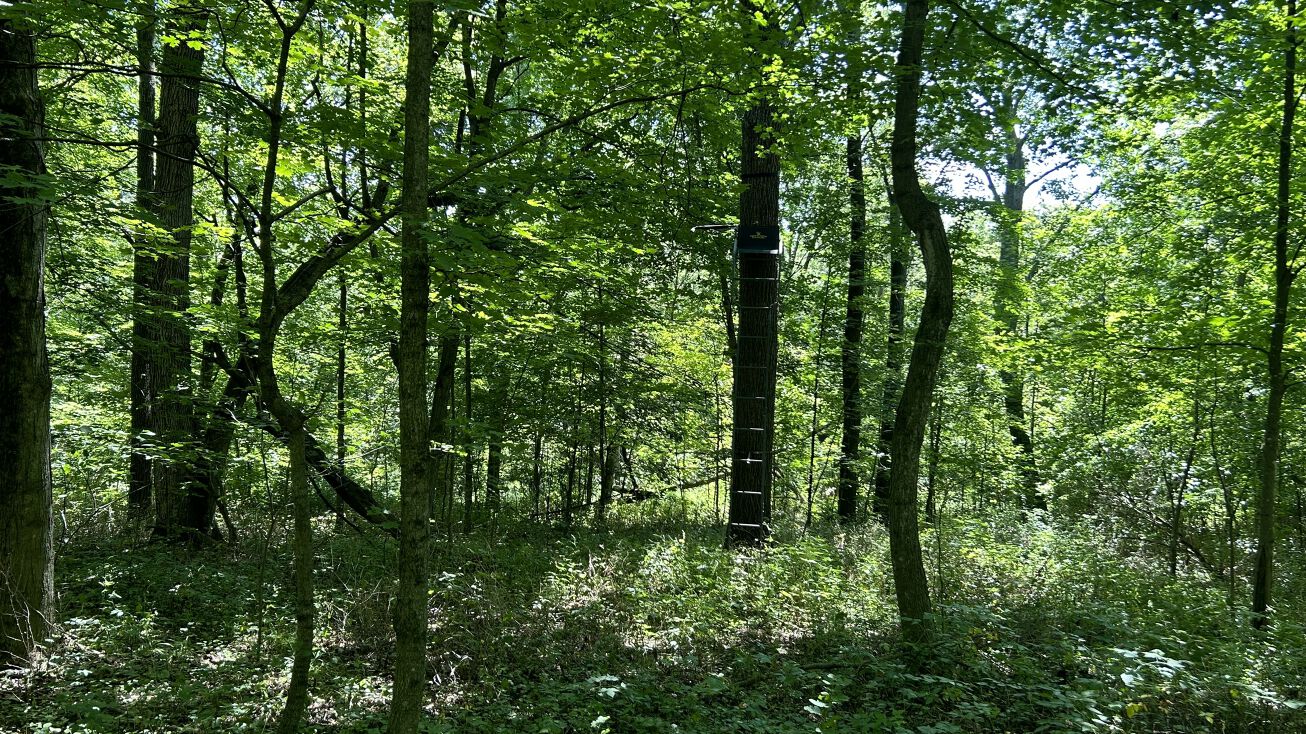 11475 Breniger Ln, Darlington, WI 53530