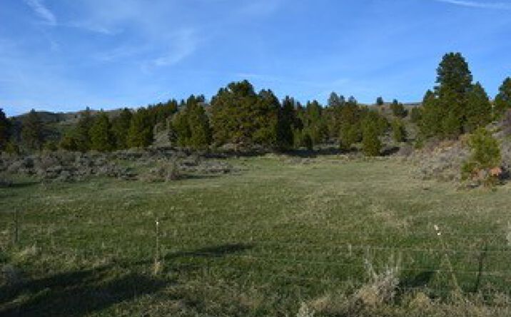 Pictures of Land property located at TBD Russell 318, Prairie, ID 83647 for sales - image #1