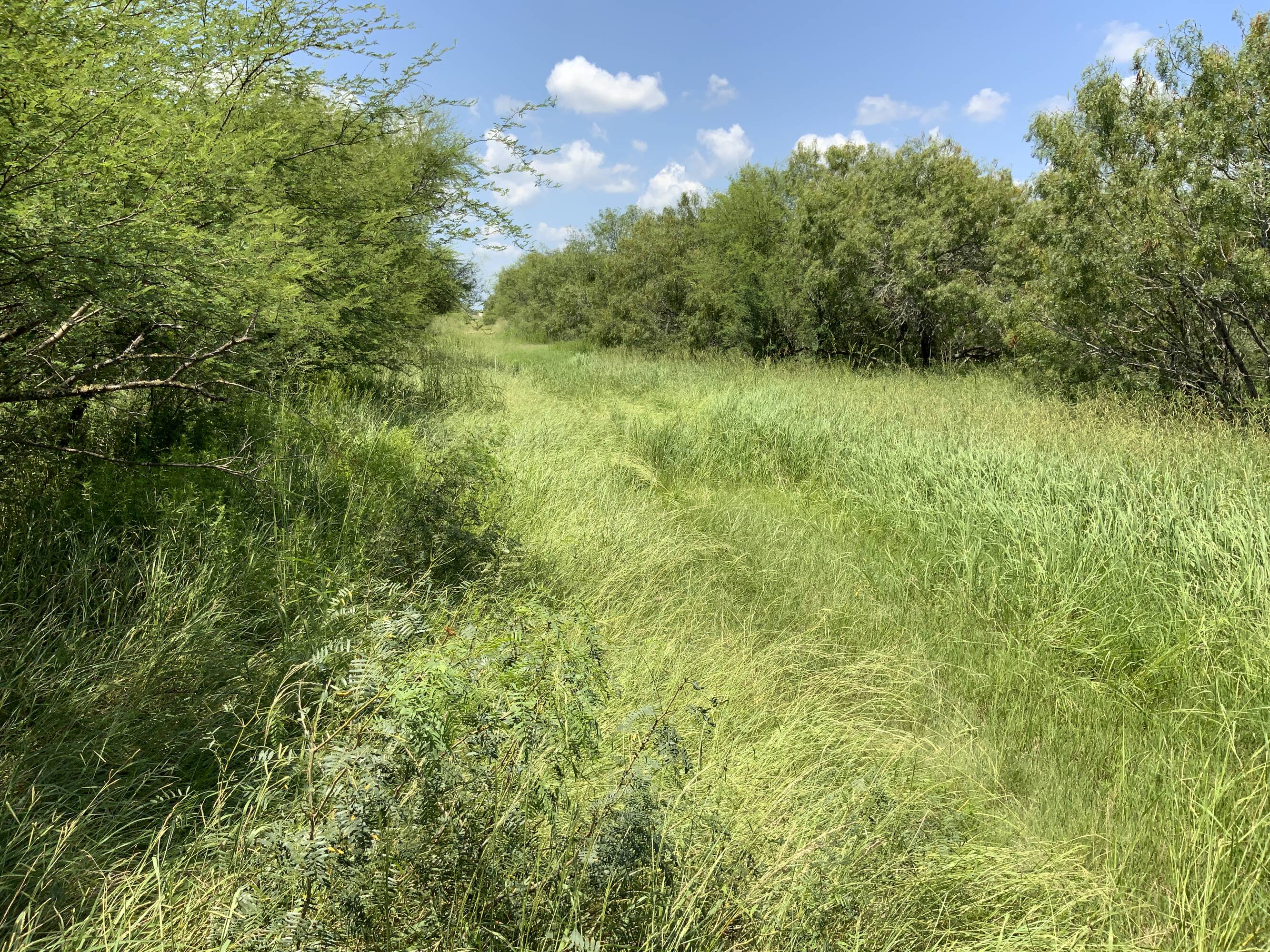 14112 County Road 1196, Sinton, TX 78387