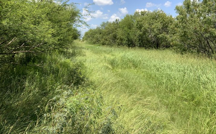 Pictures of Land property located at 14112 County Rd 1196, Sinton, TX 78387 for sales - image #1