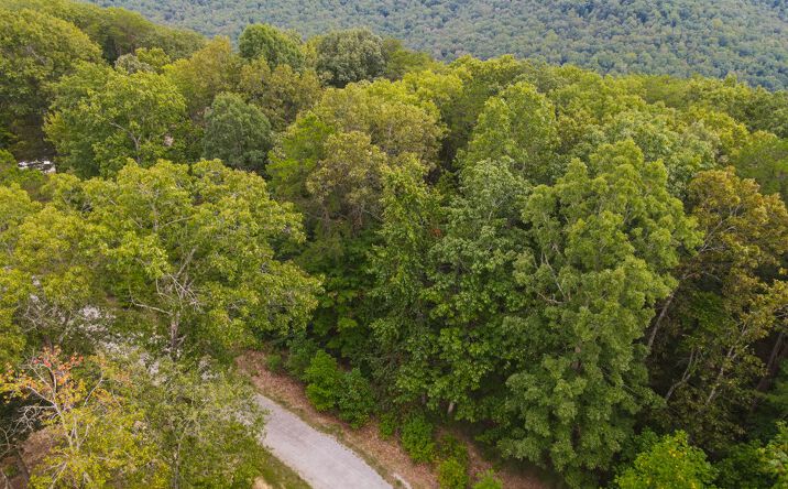 image of property at EAGLES BLUFF CIR Spencer TN 38585
