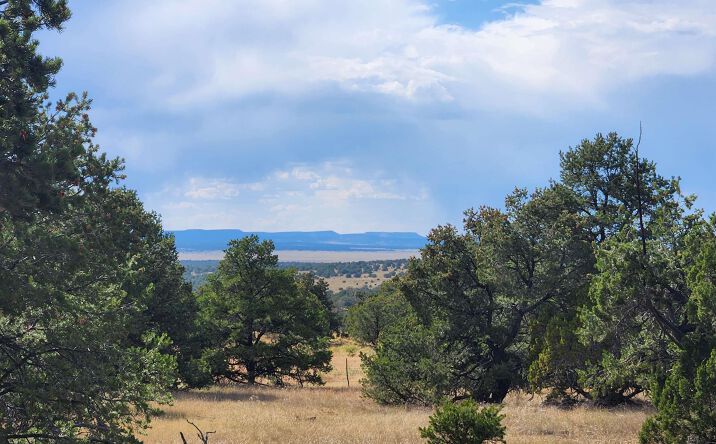 Pictures of Land property located at 136 Ponderosa View Loop Road, Pie Town, NM 87827 for sales - image #1