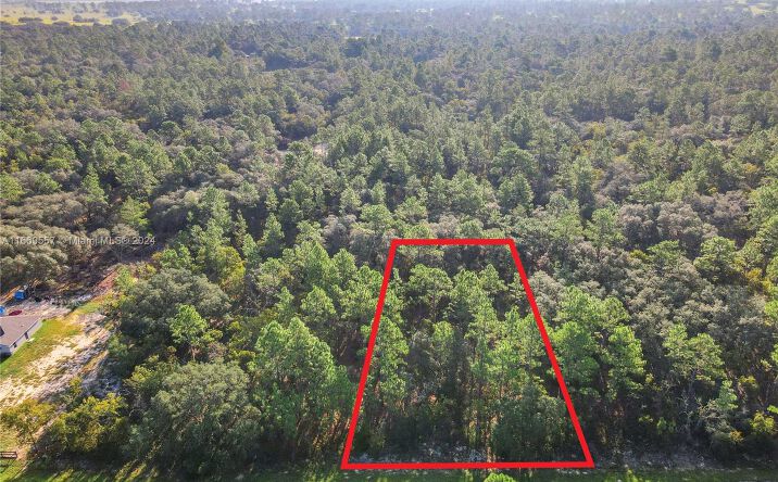 Pictures of Special Purpose property located at TBD 0 SW 125th Court Rd, Ocala, FL 34432 for sales - image #1