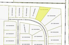 20263707