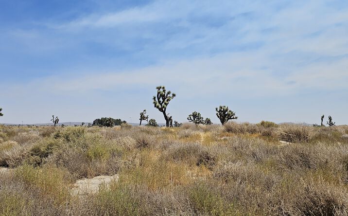 Pictures of Land property located at 90th St East & Avenue I-4, Lancaster, CA 93535 for sales - image #1