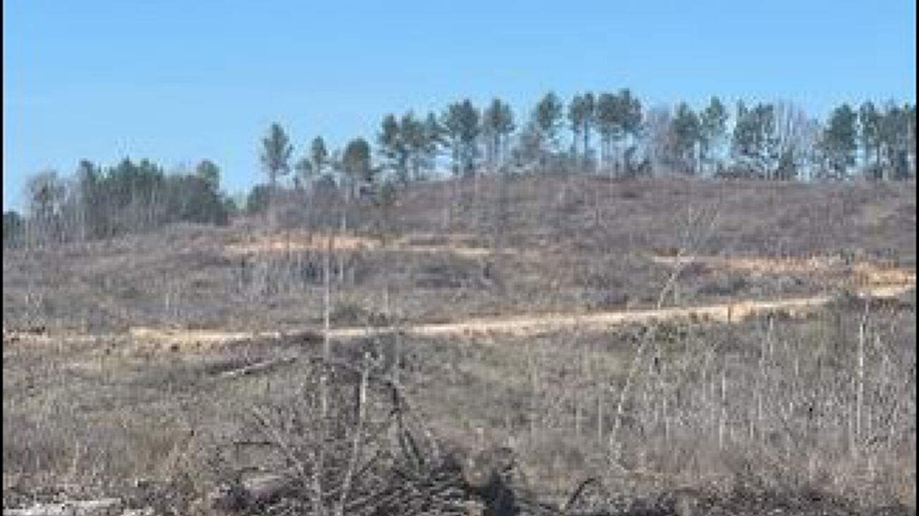 Mantee Rd, Mantee, MS 39751