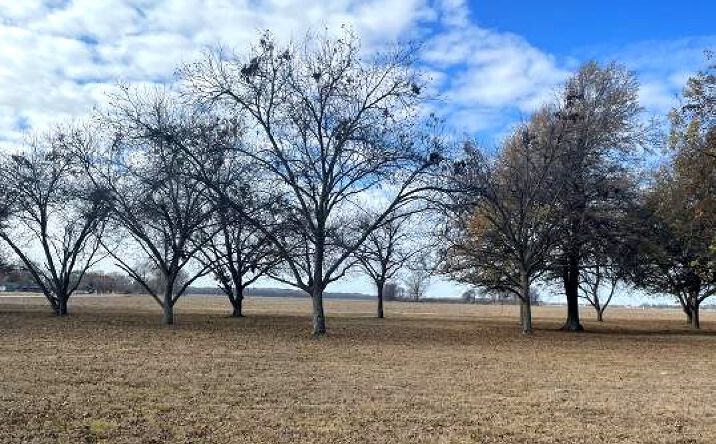 Pictures of Land property located at 1810 S Ohio St, Pine Bluff, AR 71601 for sales - image #1