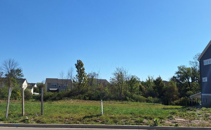 Pictures of Land property located at 10520 Red Fir Court, Plain City, OH 43064 for sales - image #1