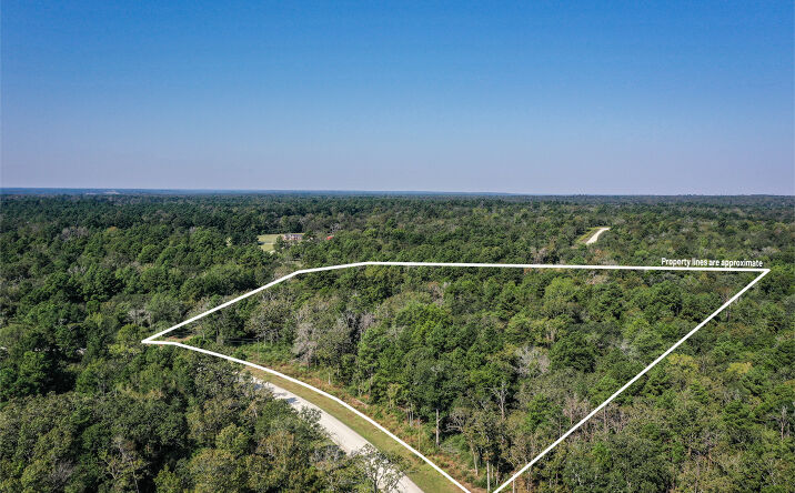Pictures of Land property located at Lot 81, PR 1285, Centerville, TX 75833 for sales - image #1