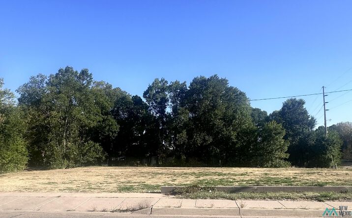 Pictures of Land property located at TBD Mills Avenue, Las Vegas, NM 87701-0000 for sales - image #1
