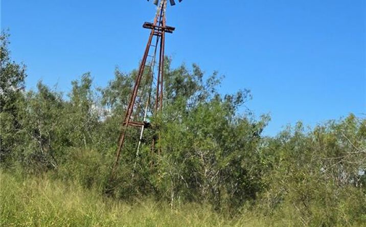 Andrew Rigney - BIC Realty | Crexi