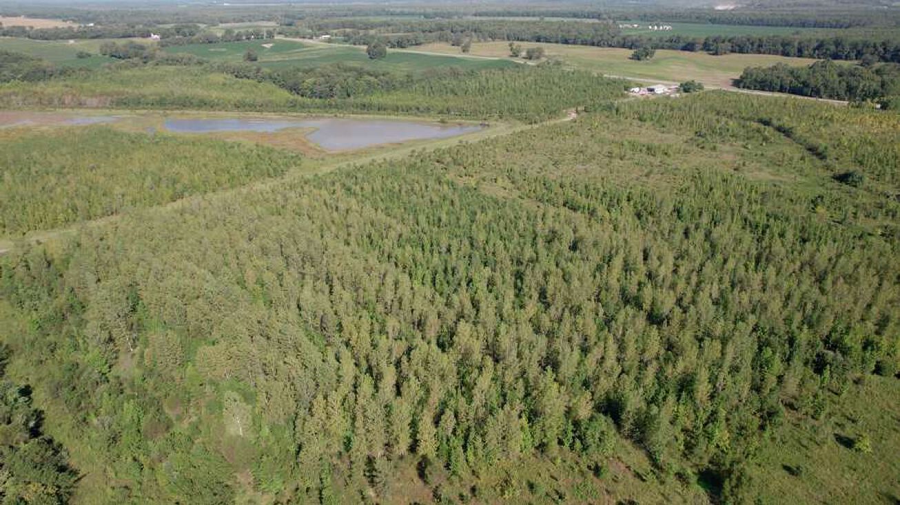 1408 IL169, Karnak, IL 62956