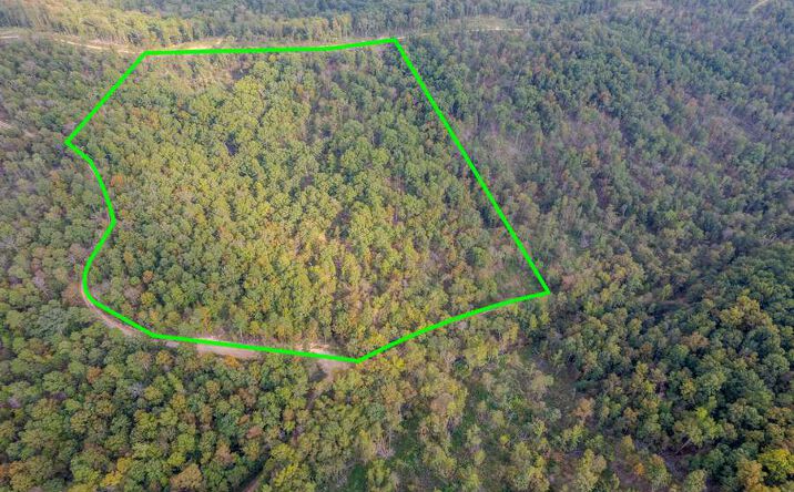 Pictures of Land property located at County Road 410, Fredericktown, MO 63545 for sales - image #1