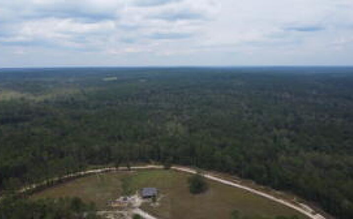 Pictures of Land property located at 1365 Lot 4 Dairy Road, Ridge Spring, SC 29129 for sales - image #1
