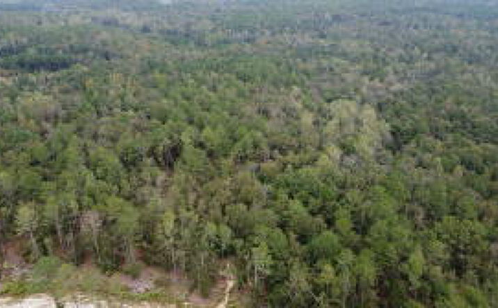 Pictures of Land property located at 1365 Lot 5 Dairy Road, Ridge Spring, SC 29129 for sales - image #1