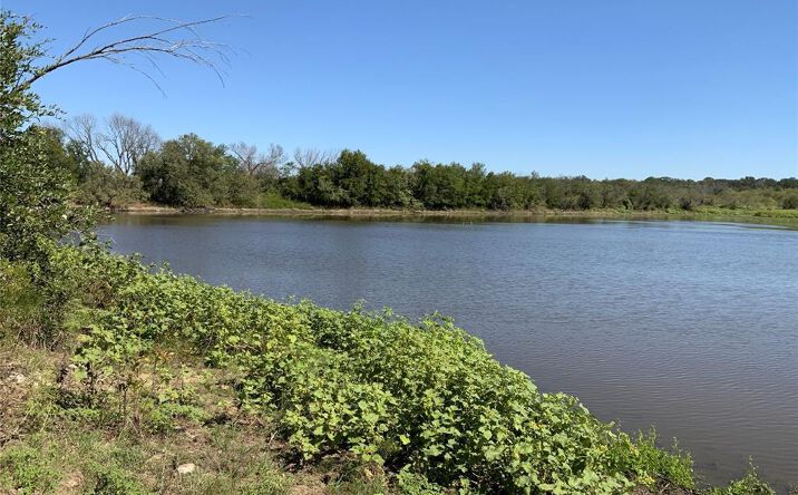 Pictures of Land property located at TBD Fm-2486, Gustine, TX 76455 for sales - image #1