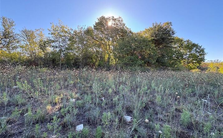 Pictures of Land property located at TBD Mason Court, Dublin, TX 76446 for sales - image #1