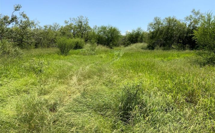 Pictures of Land property located at TBD County Rd 1144, Sinton, TX 78387 for sales - image #1