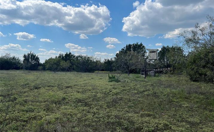 Pictures of Land property located at Co Rd 386, Carlton, TX 76436 for sales - image #1