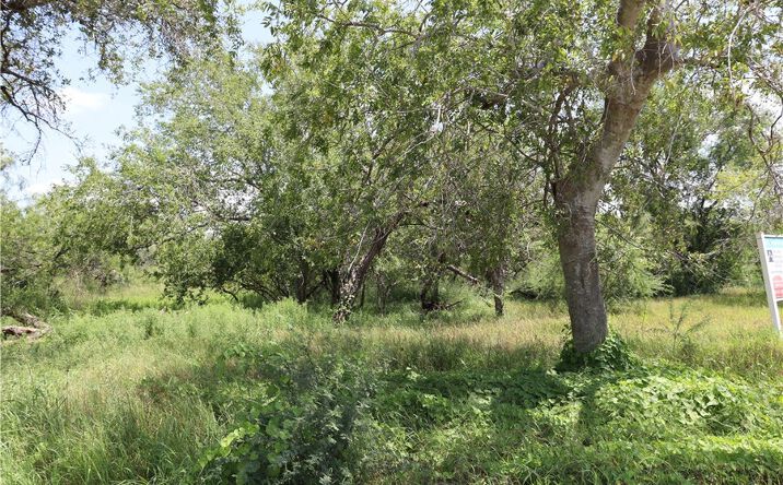 Pictures of Land property located at Tract 7 - 21 acre lot, Sinton, TX 78387 for sales - image #1