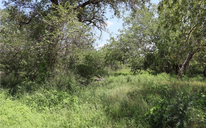 Pictures of Land property located at Tract 4 - 21 acre lot, Sinton, TX 78387 for sales - image #1