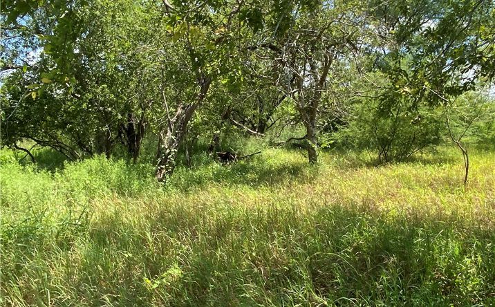 Pictures of Land property located at TBD CR 1144 and CR 1196, Sinton, TX 78387 for sales - image #1
