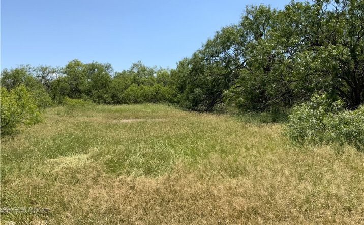 Pictures of Land property located at Tract 3 - 21 acre lot, Sinton, TX 78387 for sales - image #1