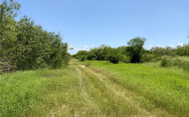 Pictures of Land property located at 14135 County Rd 1144, Sinton, TX 78387 for sales - image #1