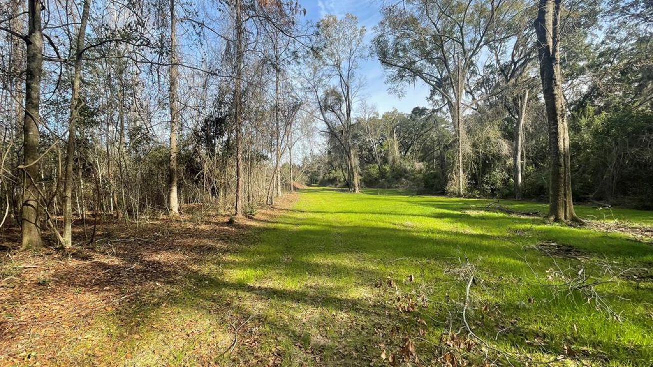 7321 US Hwy 19 South (20 Acres), Thomasville, GA 31757