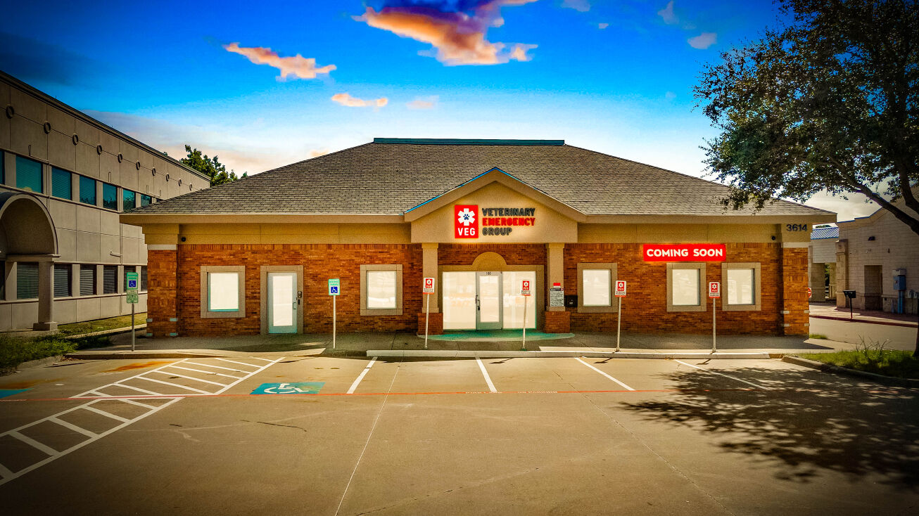 3614 Long Prairie Road, Flower Mound, TX 75022