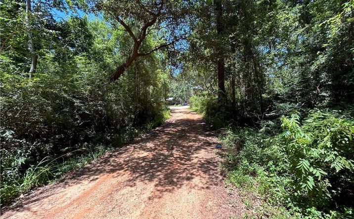 Pictures of Land property located at 0 3RD Avenue, Theodore, AL 36582 for sales - image #1