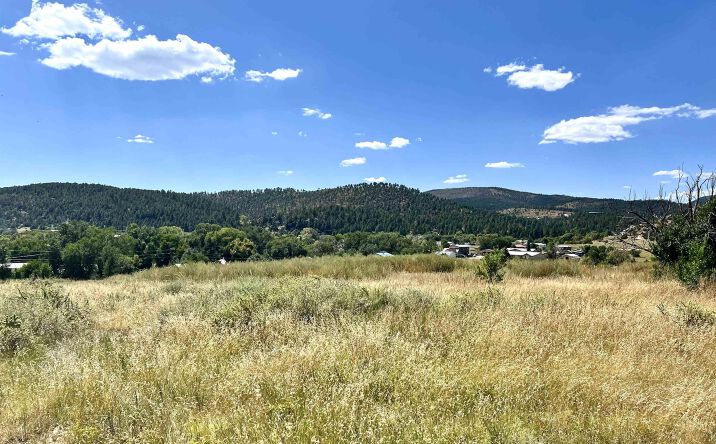 Pictures of Land property located at TBD CR A11A Gethsemane Road Road, Las Vegas, NM 87701 for sales - image #1