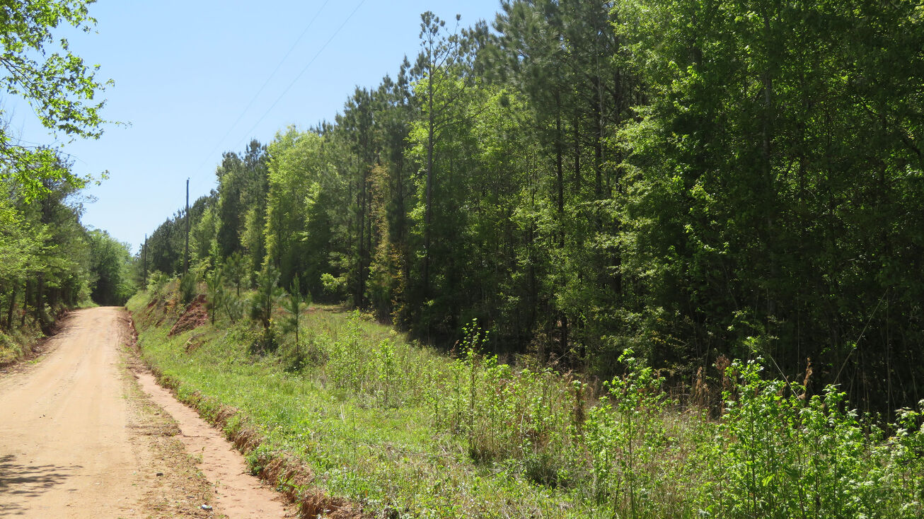 Fryer Rd, Manchester, GA 31826